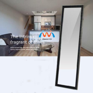 Bedroom Modern Full Length Dressing Mirror